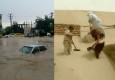 طوفان در شمال ، سیلاب در جنوب/ ارائه خدمات بهداشتی امدادی رایگان در سیستان