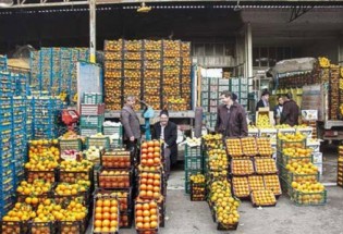 سیب ارومیه و پرتقال جیرفت در سبد نوروزی مردم سیستان و بلوچستان/ توزیع بیش از 700 تن میوه شب عید در استان