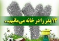 سنت سیزده به در  و روز طبیعت در ایران/ اولین سیزده به در سده پانزدهم شمسی را در خانه خواهیم بود