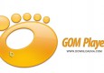 دانلود گام پلیر GOM Player Plus 2.3.68.5332 + Portable