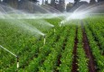 حدود ۳ میلیون هکتار از اراضی کشاورزی کشور مجهز به سیستم آبیاری نوین شده است